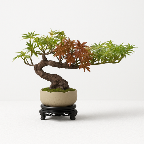 simulation arbre bonsaï pour décoration intérieure et aménagement extérieur - vue 2 sur 31