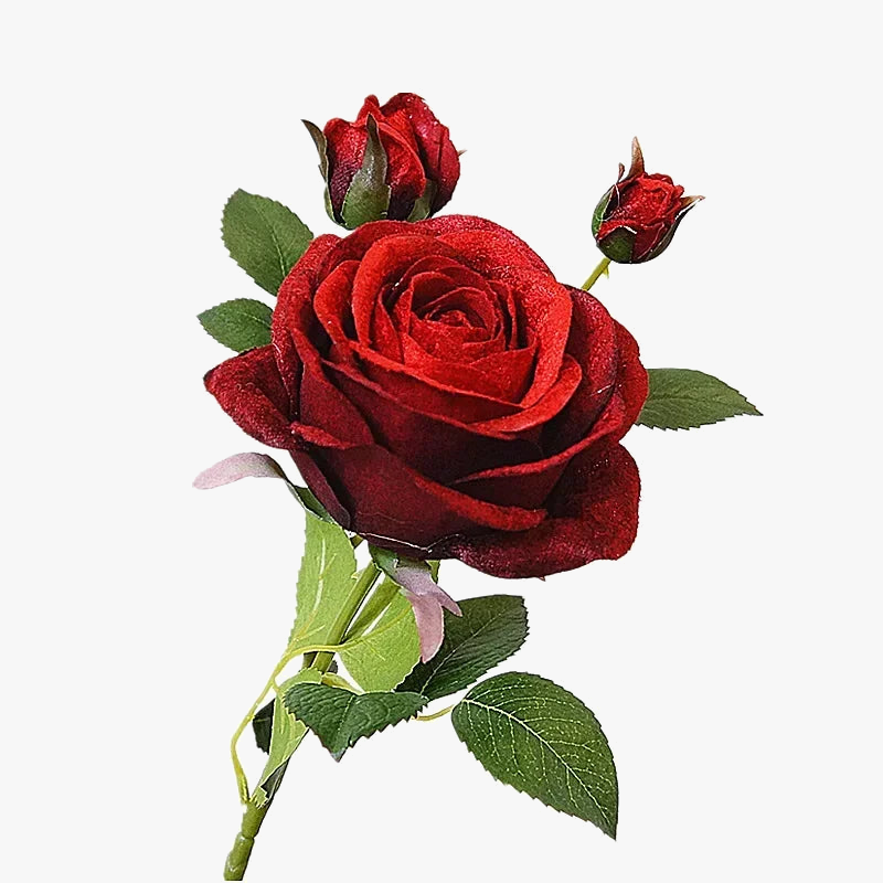 simulation de roses en velours pour décoration élégante