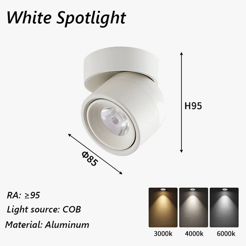 spot-led-brilm-moderne-int-rieur-aluminium-downlight-r-glable-360-6.png