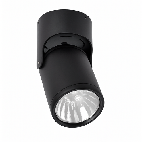 Spot LED directionnel (noir ou blanc) - vue 2 sur 4