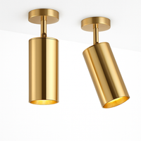 spot led en aluminium doré pour éclairage moderne intérieur