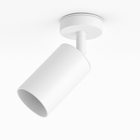 Spot lumineux LED à intensité réglable