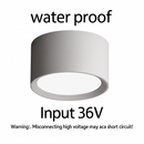 49558055944538|49558056010074|49558056108378