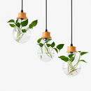 Suspension bocal en verre à fleur et support en bois