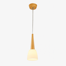 suspension-modernes-en-bois-gzmj-avec-support-led-2.png
