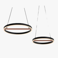 suspension rétro en fer avec bande led pour éclairage intérieur