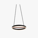 suspension-r-tro-en-fer-avec-bande-led-pour-clairage-int-rieur-6.png