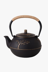Théière japonaise en fonte avec infuseur maille 750ml