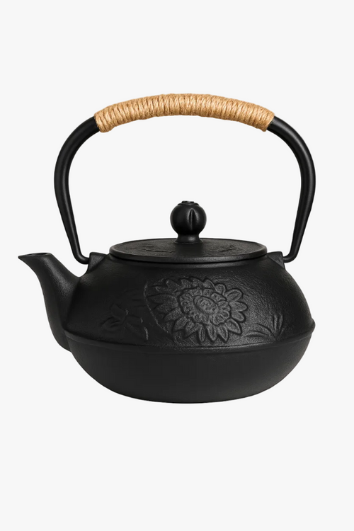 Théière japonaise en fonte avec infuseur kung fu