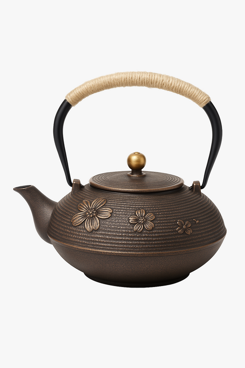 theiere-japonaise-fonte-emaillee-avec-infuseur-filtre-maille-0.png