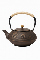 theiere japonaise fonte emaillee avec infuseur filtre maille