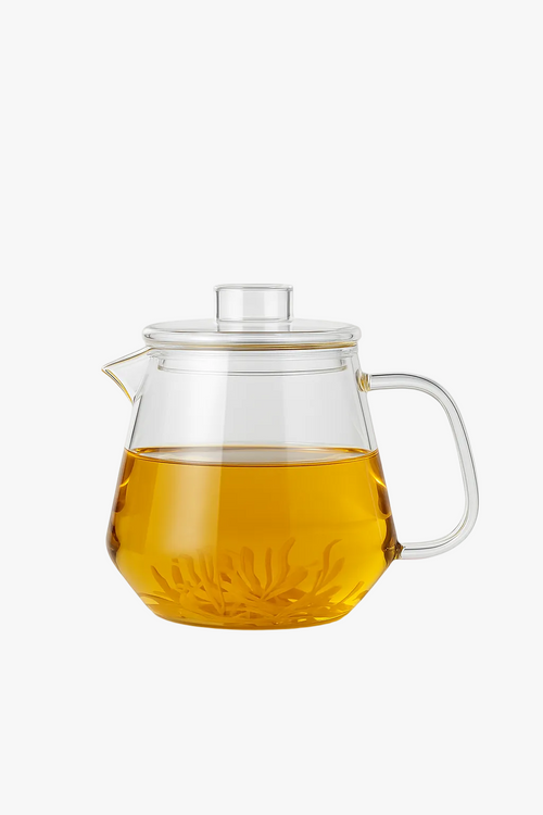 Théière verre borosilicate avec infuseur style moderne