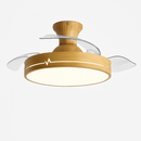 ventilateur-de-plafond-avec-lumi-re-et-contr-le-cach-moteur-dc-1.png