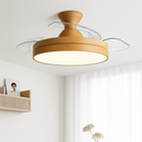 ventilateur de plafond avec lumière et contrôle silencieux