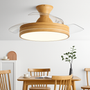 ventilateur de plafond avec lumière et contrôle silencieux