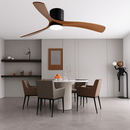 ventilateur de plafond moderne abs noir avec led et télécommande