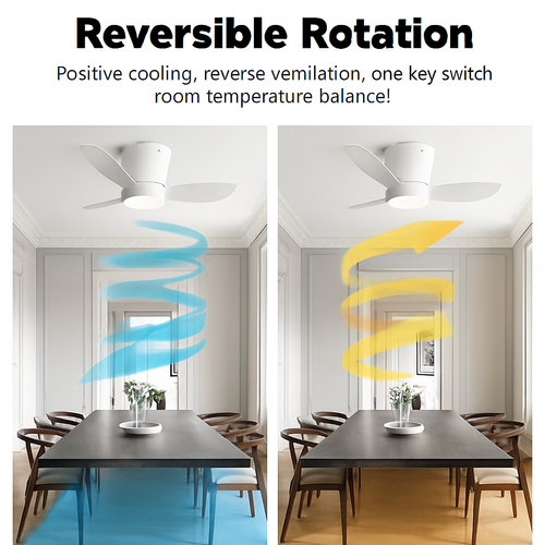 ventilateur-de-plafond-moderne-leds-avec-t-l-commande-et-synchronisation-2.png