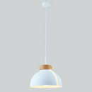 Suspension LED demi-boule colorée Loft