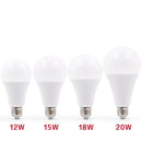 Ampoule E27 à LED (de 3 à 20W)