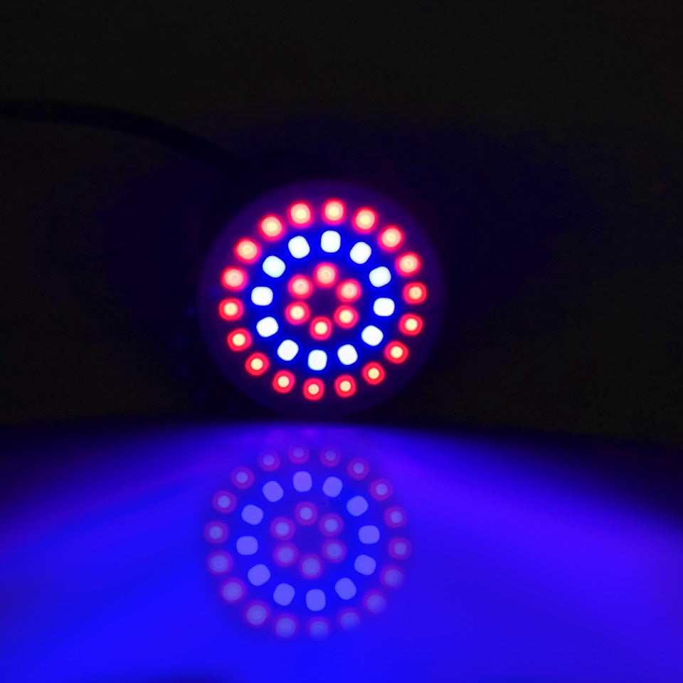 Ampoule G10 à LED encastrable fluorescent - vue 2 sur 5