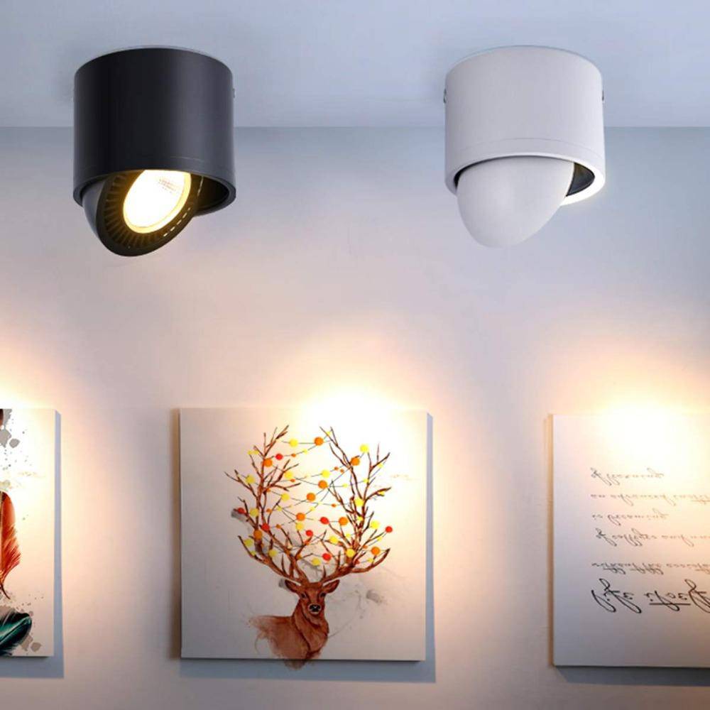 Spot à LED dirigeable Mounted - vue 2 sur 10