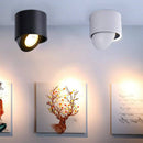 Spot à LED dirigeable Mounted