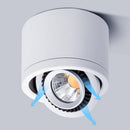 Spot à LED dirigeable Mounted