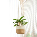 Cache-pots suspendu en osier style scandinave